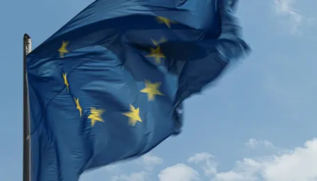 EU steel trade regime enacted into law
