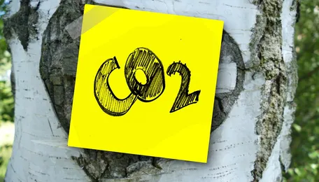 Gerdau launches low-emissions steel line