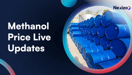 Methanol Price Live Updates: Daily Rates, Market Trends, and More Insights
