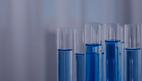 Indian Toluene Market Sees Price Correction on Weak Crude, Tepid Demand 