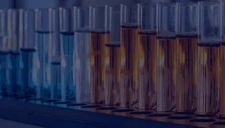 Despite Lower Futures and Iranian Supply Pressure, Indian Methanol Demand and Liquidation Stay Firm 