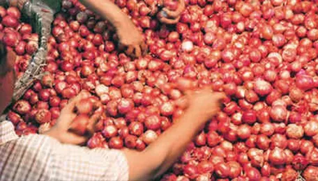 Onion prices move up in Delhi, Maharashtra after govt lifts export ban