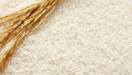 Thailand and Vietnam battle it out for rice export ranking