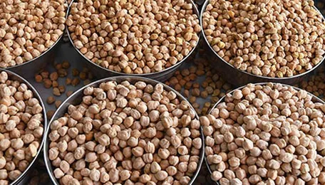 Chickpea imports unlikely to ease prices, yellow peas seen as substitute