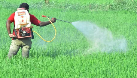 Vegetables from Telangana are not accepted due to rampant use of chemicals and fertilisers: Agriculture Minister