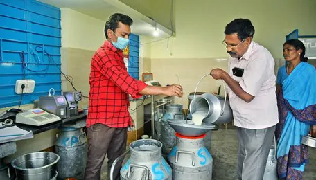 Aavin struggles to maintain normal milk procurement level