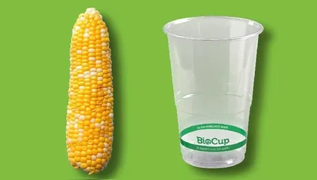 EC votes for reusable packaging, less recycled content, a target for bioplastics