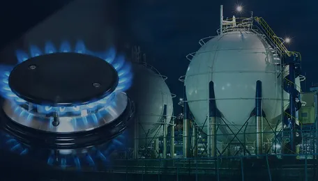 After OPEC Surprise Cuts, Benzoic Acid Prices Likely to Increase Globally