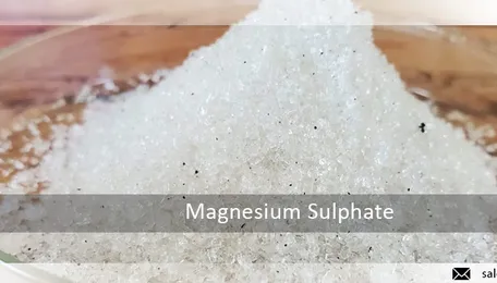 Strong Demand Propels European Magnesium Sulphate Prices to New Highs