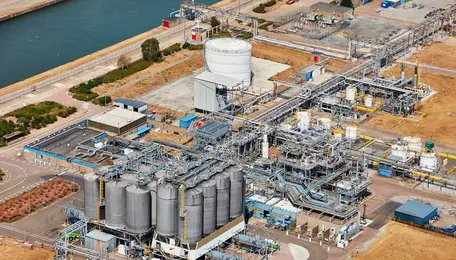 Unravelling The Mysterious Connection Between the Recent Chemical Spills