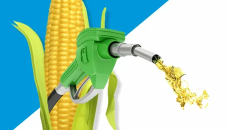 Production of ethanol from maize to be promoted through various multidepartment...