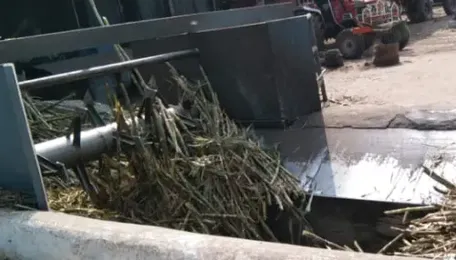 Maharashtra: Record number of sugar mills participate in crushing operations this...