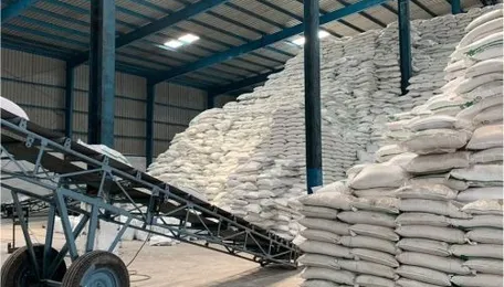 Tanzania assures stable sugar supply despite production pause