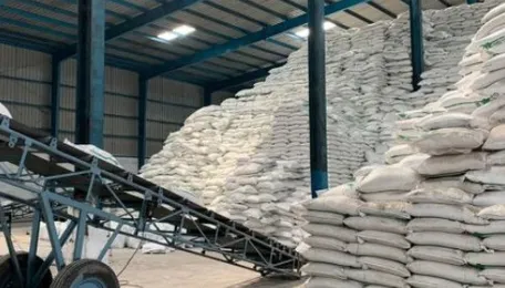 International sugar prices likely to rise in short term: Robin Shaw