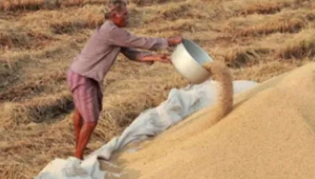 Rice Prices Expected To Increase Due To Weather Changes
