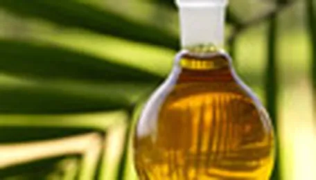 Palm oil snaps two-day winning streak amid lower soyoil, export woes