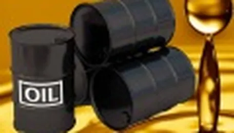 OPEC Upbeat Over 2024 Oil Demand Outlook Despite Slowdown