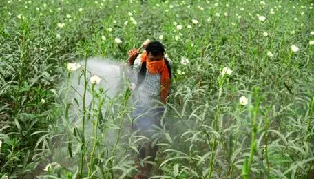 India approves 24 of 27 generic pesticides after data evaluation by expert technical committee