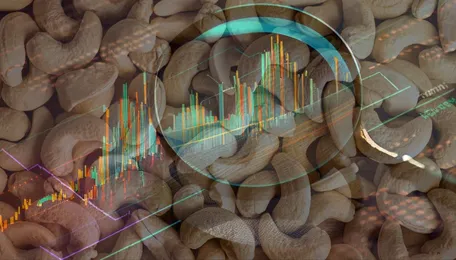 Cashews: Good But Also Alarming Exports