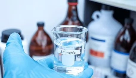 Ammonia Market Prevails Bearish Trend in the US, Prices Surge in Asia