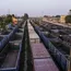 Rail freight grows at 1.4% in April; coal cargo rises by 6.3%