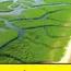 Marshland that guards India’s maritime destiny 