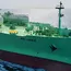 What Is Green Sanvi? How It Crossed Strait of Hormuz Amid Ongoing US Iran War, Owner, Age and Key Details Explained 