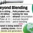 Stoves to cars: India expands ethanol use amid West Asia war