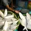 For Bengali palates, it's about fish fulfillment