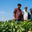 Zydex’s Organic Solution Has Become Farmers’ First Choice for Potato Farming, Improving Yields and Soil Health 