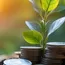India’s Climate Finance Requirements – Steel and Cement Overwhelm Power 