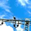 NSO warns against kite flying near high‑voltage power lines 