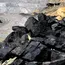 New Delhi Appoints Coal Controller Organisation To Regulate And Register Coal Exchanges