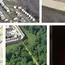500 Feet Isn't Enough! The Protective Buffers PA Coalition Will Hold A Rally At The State Capitol In Harrisburg Oct. 7 Calling For Increasing Setbacks From Shale Gas Drilling To Protect Public Health, The Environment 