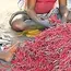 Heatwave impact: Centre imposes curbs on firecracker production in Sivakasi belt 
