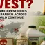 Toxic Harvest? Why cancer-linked pesticides continue to be used across Indian farms despite global concerns 