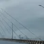 Mumbais Cable Stayed Bridge Faces Further Setbacks