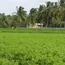 Devanahalli Farmers Win Land Battle as Karnataka Halts Acquisition