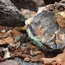 India-Chile CEPA to boost New Delhi's critical minerals quest | Policy Circle 