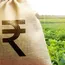 Cabinet okays Rs 38K-cr fertiliser subsidy for Rabi 
