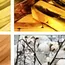 Steel Retreats as Seasonal Slowdown Looms