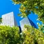 Bengaluru Green Transformation Needs Better Urban Planning