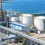 NTPC seeks green ammonia buyers in Japan, South Korea and Germany - domain