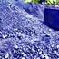 6,000 MT dumped coal seized in EJH 