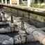 Nagpur sewage flow into dam raises water safety concerns