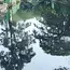 Kochi has launched an ambitious infrastructure overhaul that blends sustainable transport, flood mitigation, and urban regeneration in one of India’s most climate-vulnerable coastal cities