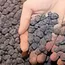 Iron ore gains on China stimulus hopes, upbeat steel data