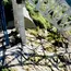 Under-construction bridge on 4-lane highway collapses in Hamirpur, 3 injured 