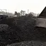 India's coal imports turn steel-centric as metallurgical coal demand rises 