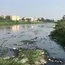 Hyderabad Region Rivers Show Severe Bacterial Pollution
